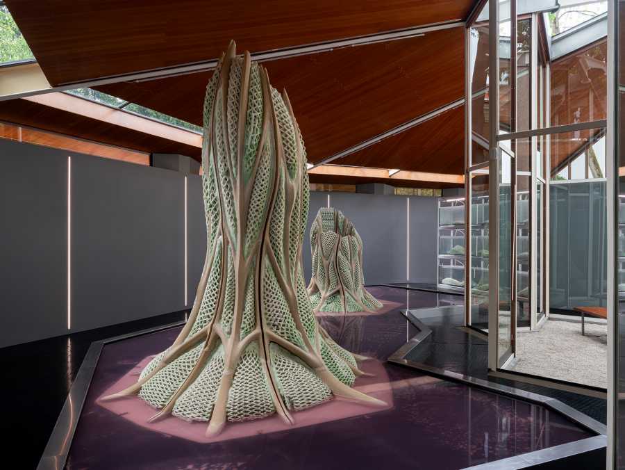 Großformatige, lebende Strukturen aus photosynthetischem Material, ausgestellt im Rahmen des Projekts „Picoplanktonics“ auf der Biennale in Venedig.