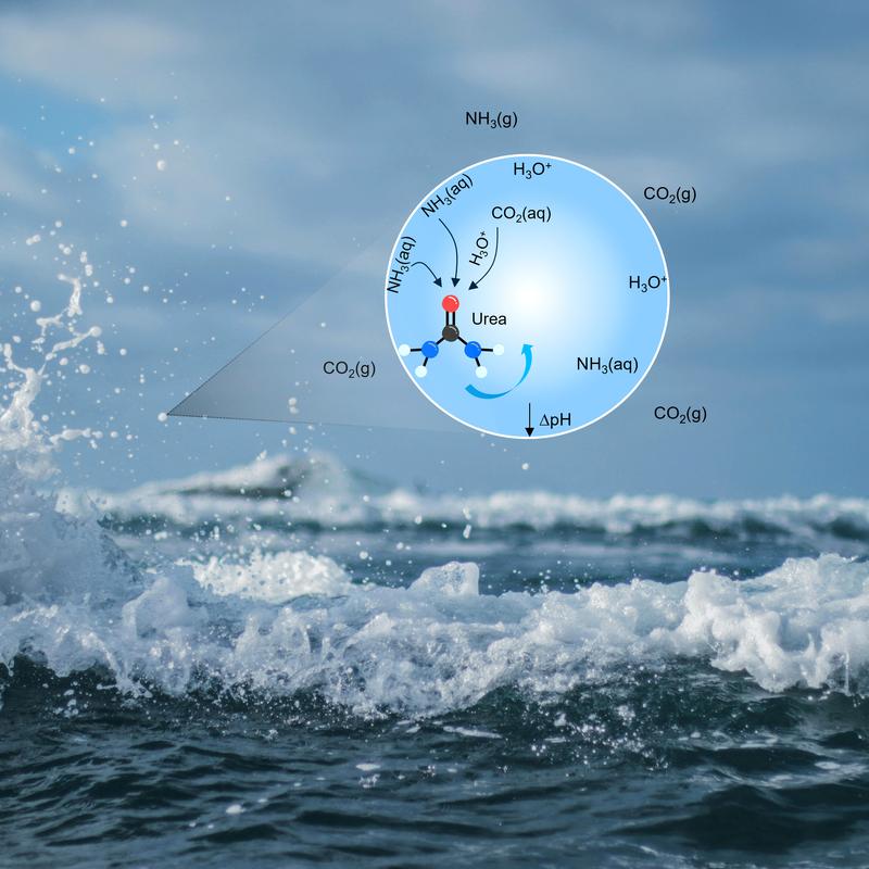 Schematische Darstellung der spontanen Reaktion von Kohlendioxid und Ammoniak an einer Wasseroberfläche zur Bildung von Harnstoff. 