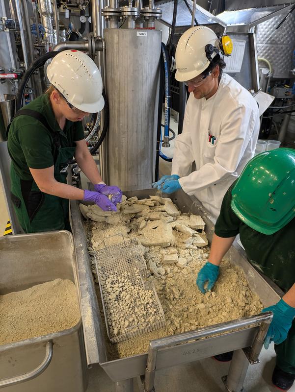 Nach der Entölung in der Filterpresse erhalten die Forscher entöltes Rapskernkonzentrat mit hohem Proteingehalt. © Fraunhofer CBP
