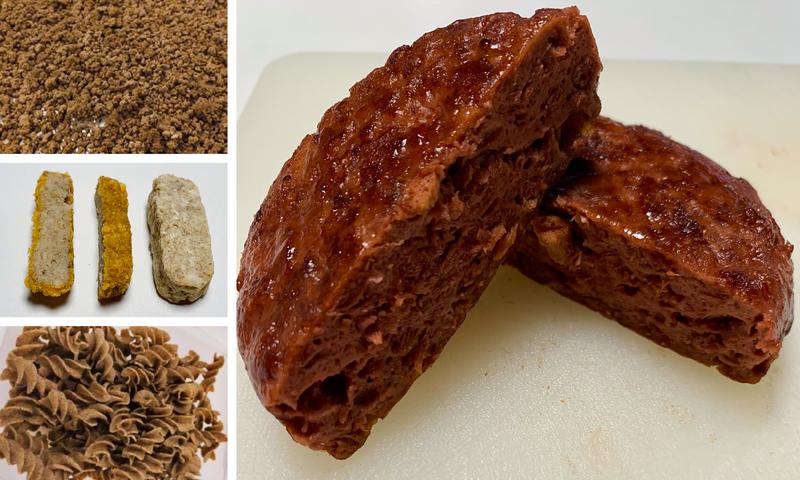 Rapskernkonzentrat bildet stabile Emulsionen mit anderen Zutaten uns lässt sich hervorragend zu Burger-Patties, Hackfleisch- und Fischstäbchenersatzprodukten sowie Pasta verarbeiten © Flowfood