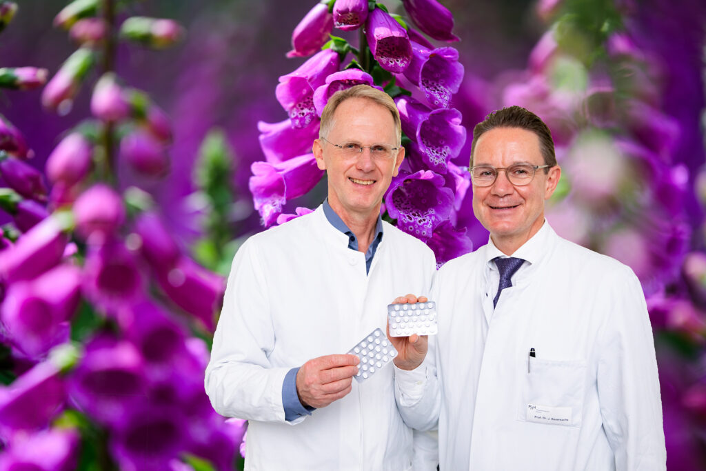 Die Kardiologen Professor Johann Bauersachs und Professor Udo Bavendiek haben erstmals nachgewiesen, dass ein Wirkstoff aus rotem Fingerhut bei Herzschwäche die Sterblichkeit senken kann.