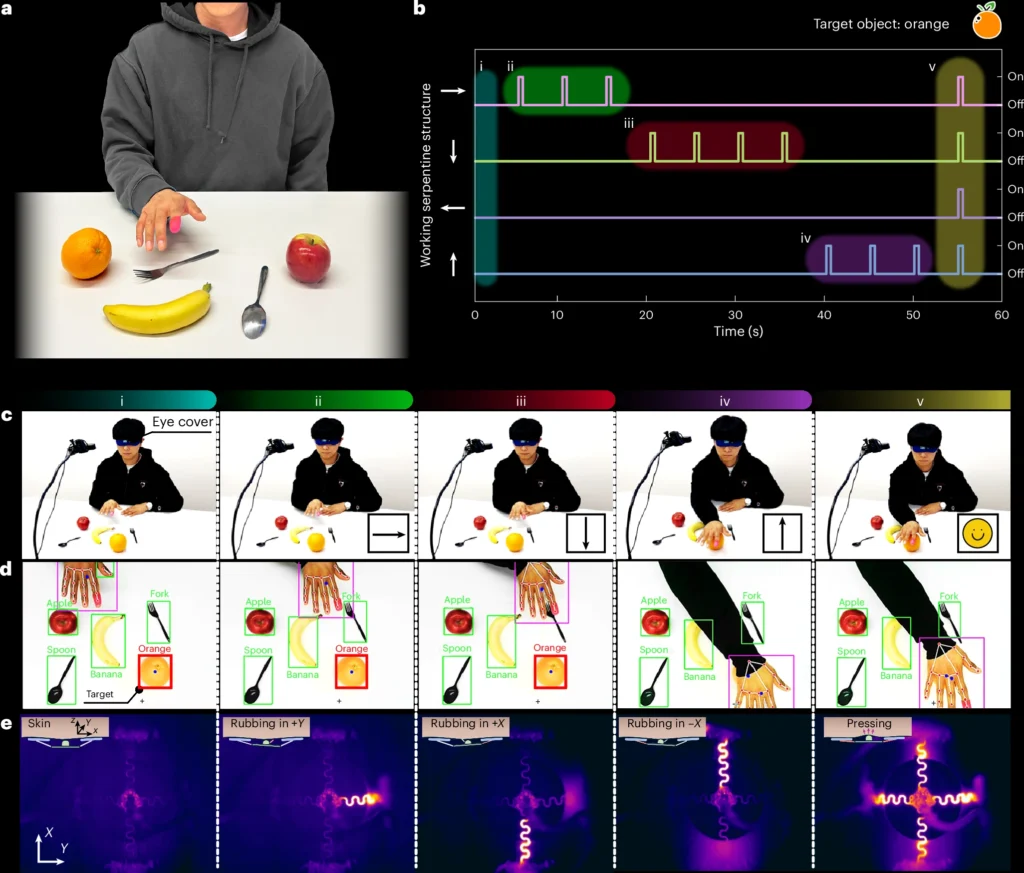 Eine Person sucht blind nach einem Objekt auf einem Tisch. Ein Gerät am Finger gibt ihr über spürbare Impulse die Richtung vor. Auf dem Bildschirm sind die erkannten Positionen von Hand und Zielobjekt sowie Wärmebilder der Aktivierung zu sehen.