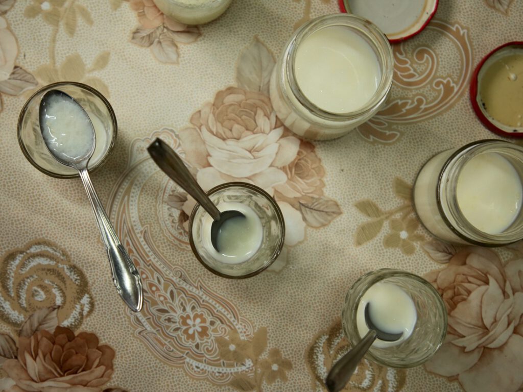 Die ersten Proben des Ameisen-Joghurts zeigten typische Fermentationsmerkmale: Die Milch hatte sich leicht verfestigt und schmeckte säuerlich. Die Forschenden bewerteten dies als vielversprechenden Hinweis auf beginnende Joghurtbildung.