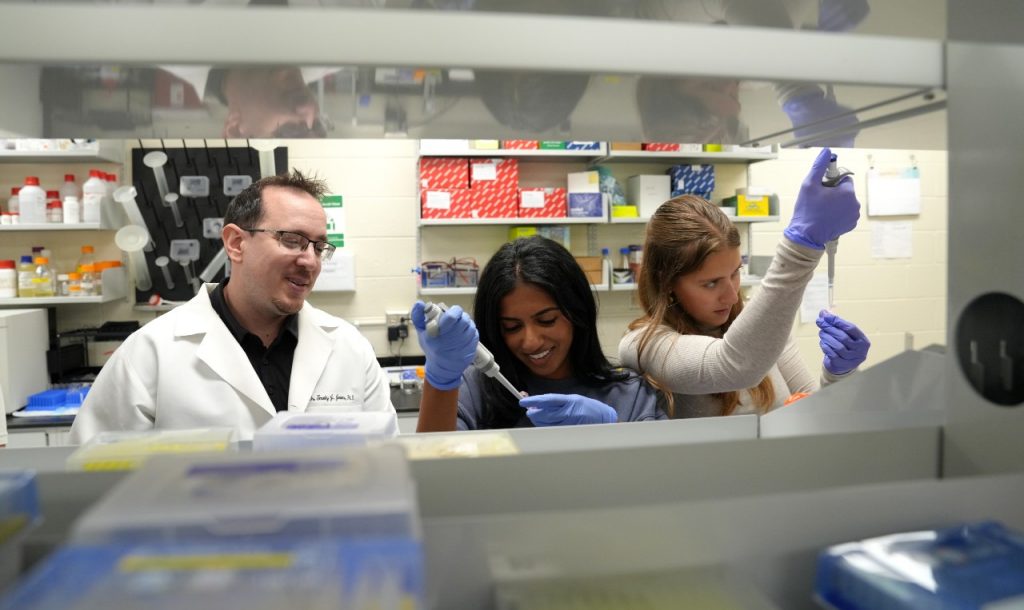 Im Labor der Virginia Tech analysieren Professor Tim Jarome und seine Studentinnen Proteinproben, um die molekularen Ursachen für altersbedingten Gedächtnisverlust zu entschlüsseln. © Marya Barlow/Virginia Tech