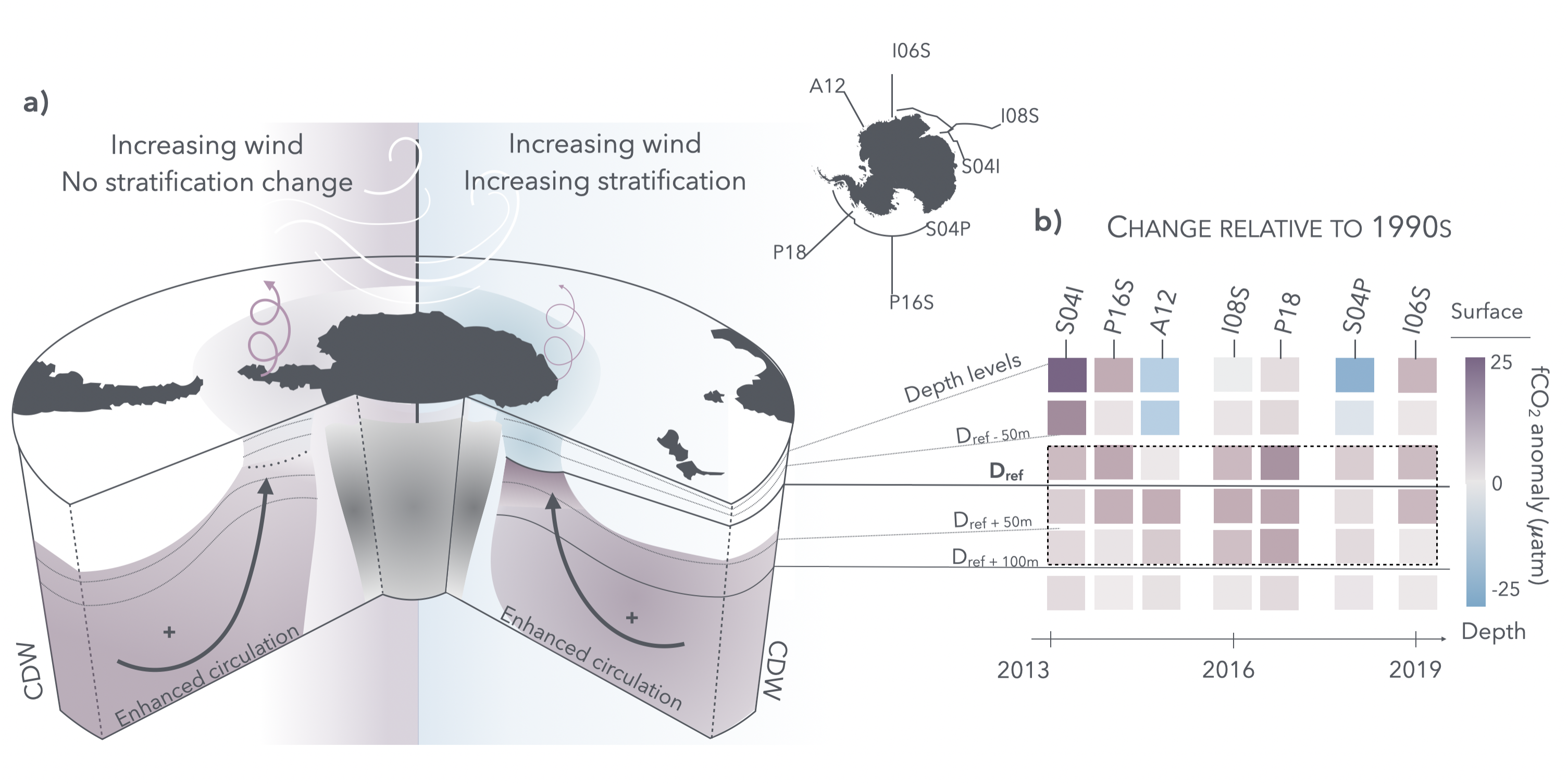 Die Grafik zeigt, wie verstärkte Westwinde und eine zunehmende Schichtung im Südlichen Ozean die Verteilung der Wassermassen beeinflussen.