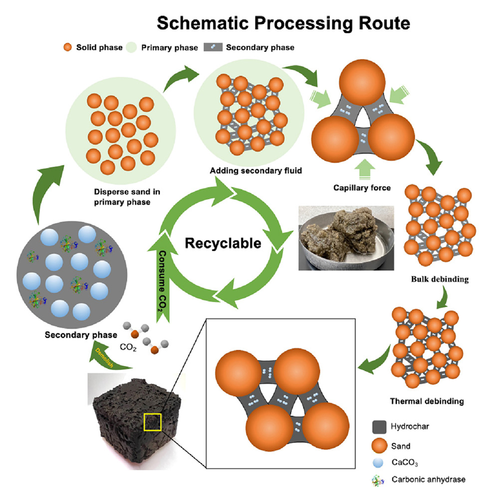 So entsteht CO₂-Beton: Ein Enzym wandelt Kohlendioxid in feste Mineralien um – der Baustoff härtet schnell aus, bleibt stabil und ist recycelbar. © WPI