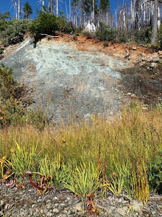 Bei Waldbränden kann sich das ungefährliche Chrom‑3 aus serpentinhaltigem Gestein in krebserregendes Chrom‑6 verwandeln und ins Grundwasser gelangen.