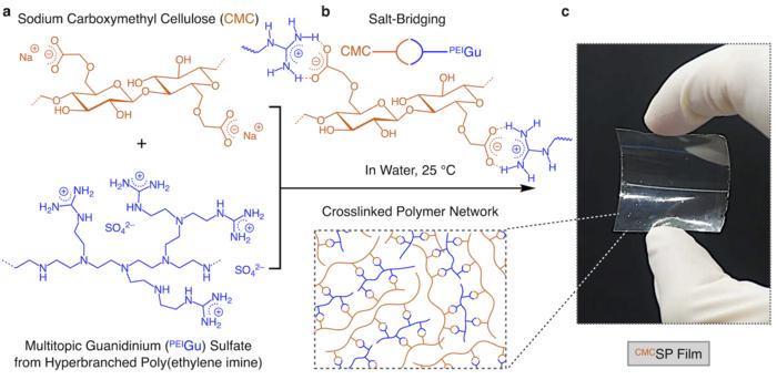 Die Grafik zeigt, wie Cellulose und Polyethylenguanidinium einen Kunststofffilm bilden, dessen Eigenschaften Cholinchlorid flexibel macht.
