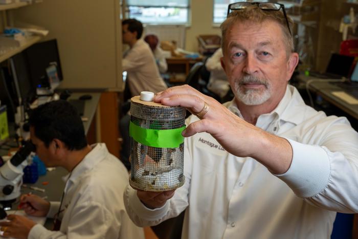 Brian Smith, Professor und Verhaltensneurowissenschaftler an der Arizona State University, erforschte das Lernverhalten von Honigbienen. © Clayton Metz/Virginia Tech