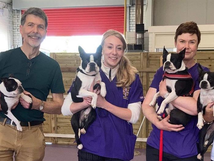 Ein Mann und zwei Frauen posieren jeweils mit einem Boston Terrier auf dem Arm für ein Foto.