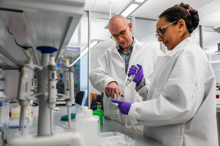 Geoffroy Laumet und die Postdoktorandin Sabrina De Souza bereiten im Labor der Michigan State University Proben vor, um zu erforschen, warum chronische Schmerzen bei Frauen länger anhalten.