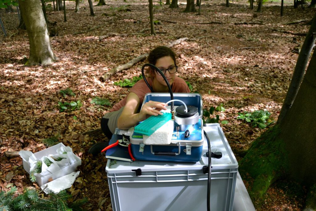 Dr. Klara Mrak entnimmt mit einer Druckkammer Zweigwasser, um die Ankunft von markiertem Wasser und Stickstoff in der Baumkrone zu messen.