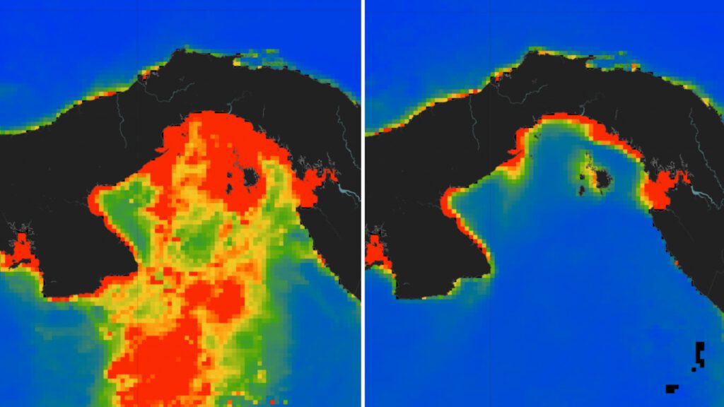Chlorophyllkonzentrationen in den Ozeanen rund um Panama (blau = niedrig, rot = hoch) im Februar 2024 (links) und Februar 2025 (rechts). © Aaron O’Dea / STRI / eigene Montage