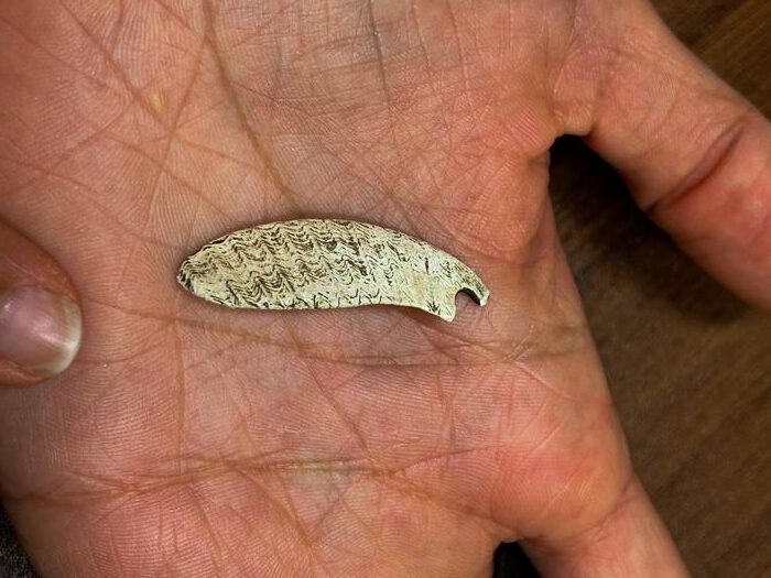 Muschel-Anhänger aus Cave 338 in den Pyrenäen: Der Fund aus prähistorischer Zeit weist auf die soziale und symbolische Bedeutung der Höhle hin.