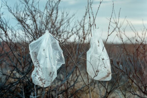 Mikroplastik in der Luft