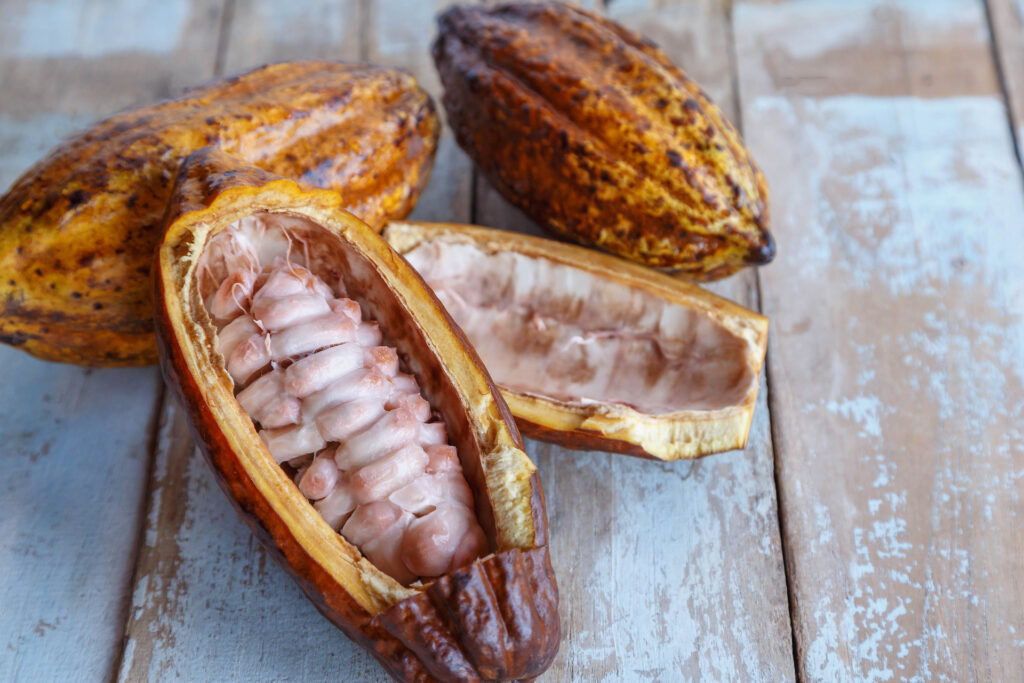 Kakaofruchtschokolade