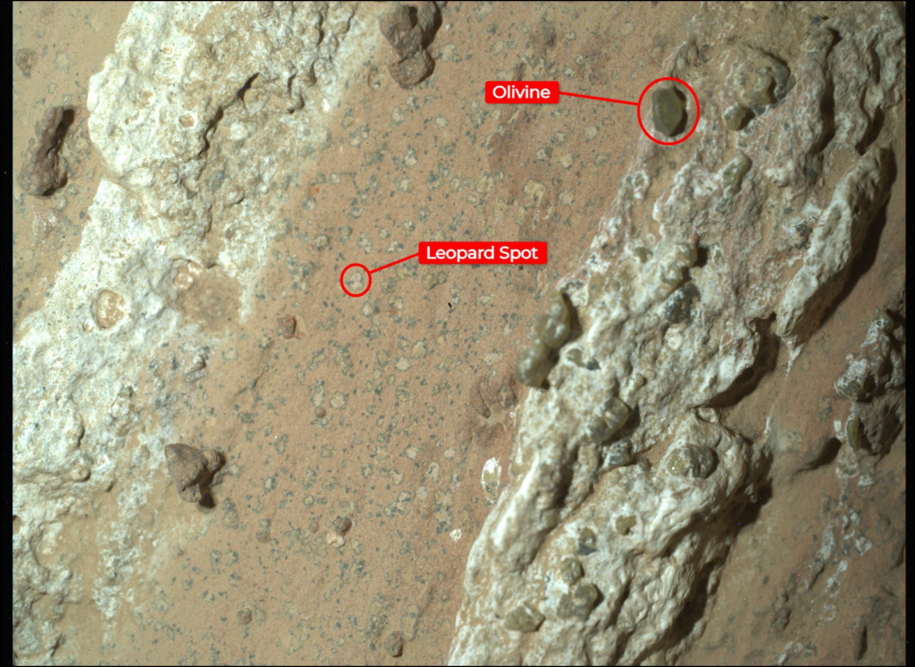 Bild der Leopardenflecken und des Olivinkristalls auf dem Mars-Felsen „Cheyava Falls“.