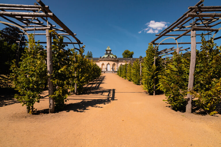20220810_Schloss_Sanssouci_04