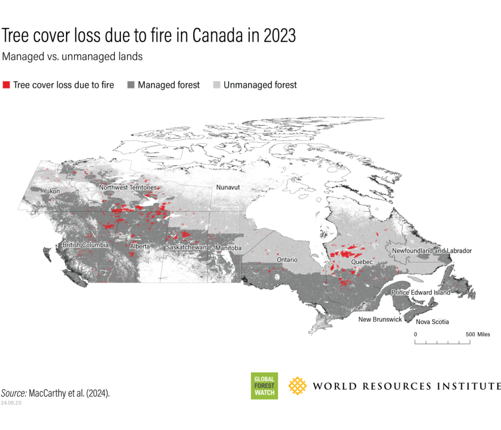 Die Karte zeigt die Gebiete, in denen viele Bäume durch Waldbrände zerstört wurden (rot markiert). © World Resources Institute