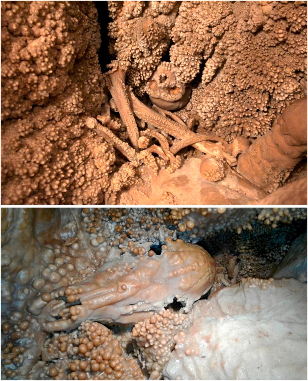 Der Altamura-Mann ist immer noch ein großes Geheimnis