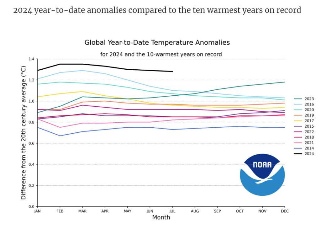 Die Grafik zeigt die Temperaturen seit Jahresbeginn 2024 im Vergleich zu den Vorjahren. © NOAA