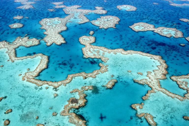 Great Barrier Reef Wassertemperaturen