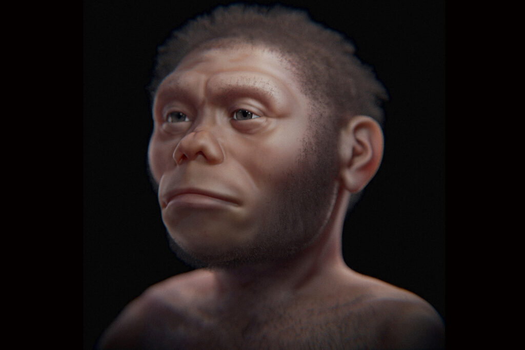 Homo floresiensis