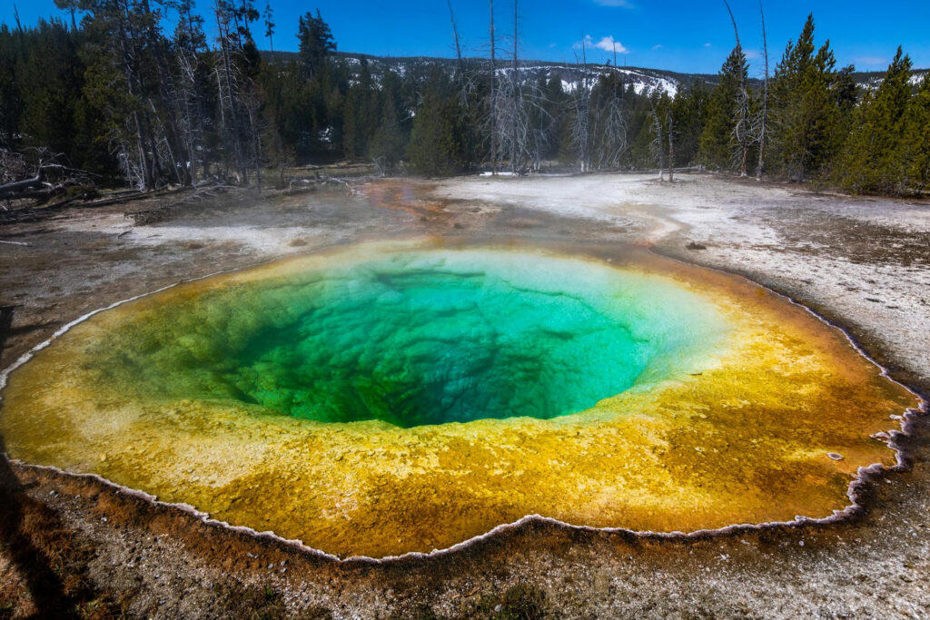 Yellowstone Mikroben