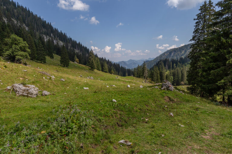 Sulzkar_Valley,_Gesäuse_National_Park,_Ennstaler_Alpen,_Austria_04