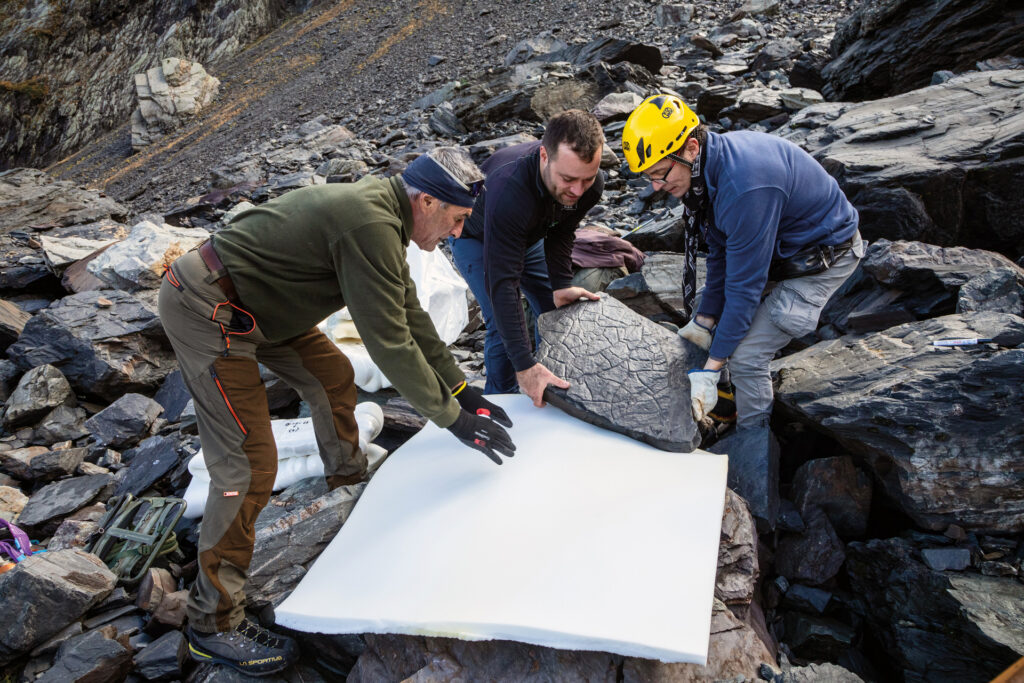 Wissenschaftler bereiten einen mit Abdrücken aus der Perm-Zeit bedeckten Stein für den Abtransport vor. © Elio Della Ferrera / Superintendence of Archaeology, Fine Arts and Landscape of the provinces of Como, Lecco, Monza-Brianza, Pavia, Sondrio and Varese