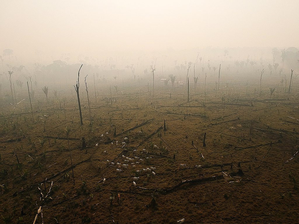 Der Klimawandel senkt das globale BIP – die wirtschaftlichen Folgen treffen auch reiche Länder hart. © Wikimedia