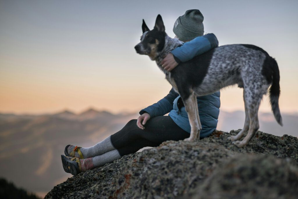 Hunde verlängern das Leben: Weniger Herzkrankheiten dank Bewegung und sozialer Bindung.