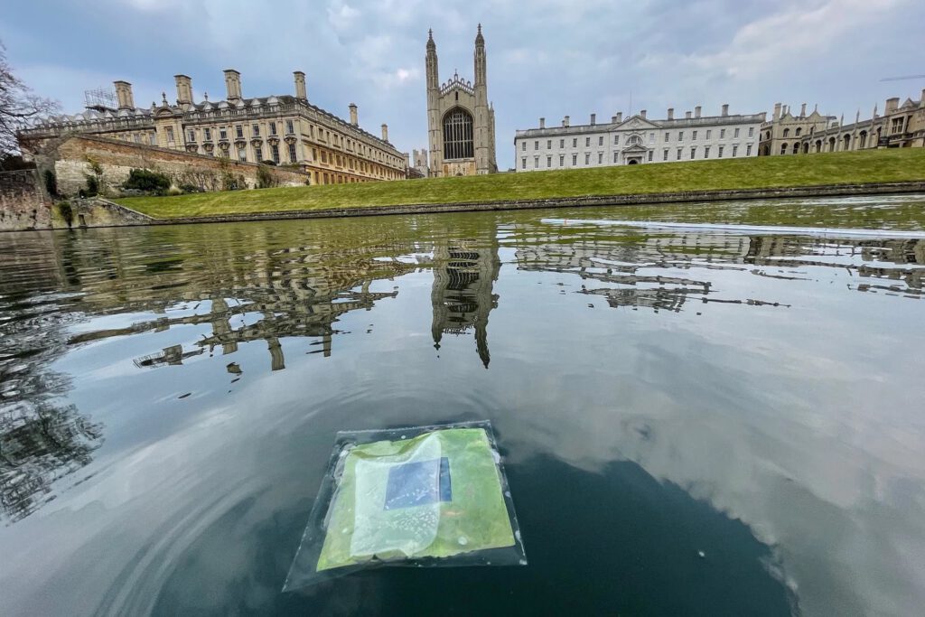 Die Forscher haben schwimmende „künstliche Blätter“ entwickelt, die künftig Sonnenlicht nutzen könnten, um Wasserstoff zu erzeugen. © University of Cambridge