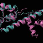 Forscher haben herausgefunden, wie fremde DNA bakterielle Abwehrsysteme umgehen und neutralisieren kann. © Samuel, B., Mittelman, K., Croitoru, S.Y. et al. Diverse anti-defence systems are encoded in the leading region of plasmids. 