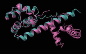 Forscher haben herausgefunden, wie fremde DNA bakterielle Abwehrsysteme umgehen und neutralisieren kann. © Samuel, B., Mittelman, K., Croitoru, S.Y. et al. Diverse anti-defence systems are encoded in the leading region of plasmids. 