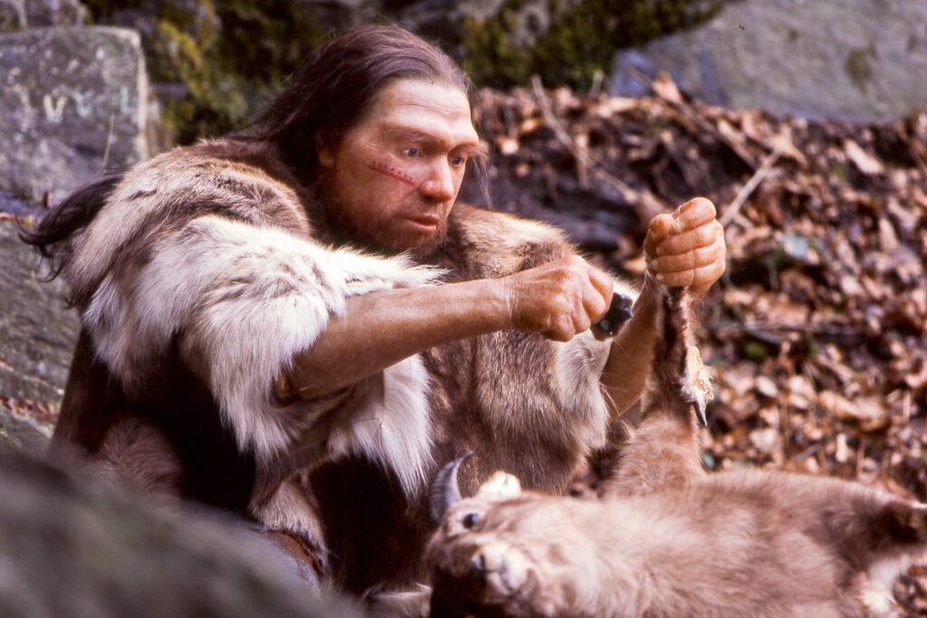 Neandertaler-Gene sicherten das Überleben von Homo sapiens (Symbolbild). © Wikimedia