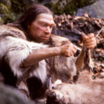 Neandertaler-Gene sicherten das Überleben von Homo sapiens (Symbolbild). © Wikimedia