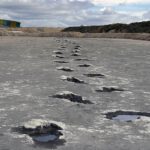 Dewars Farm sauropod dinosaur trackway_image credit Richard Butler