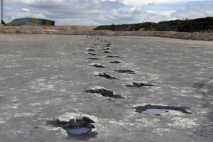 Dewars Farm sauropod dinosaur trackway_image credit Richard Butler