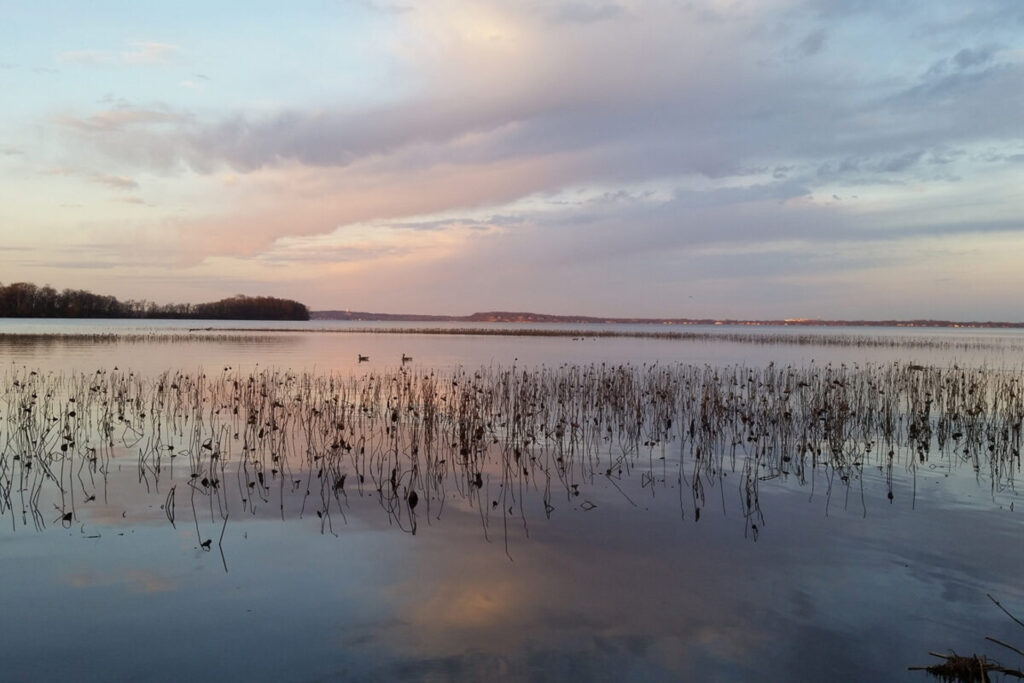 Genetische Spurensuche: Forschende entschlüsselten das Erbgut von Bakterien aus einem einzigartigen 20-jährigen Wasserproben-Archiv des Lake Mendota. © Robin Rohwer / University of Texas at Austin