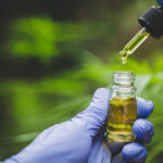 Hand holding bottle of Cannabis oil in pipette, Hemp oil, medica