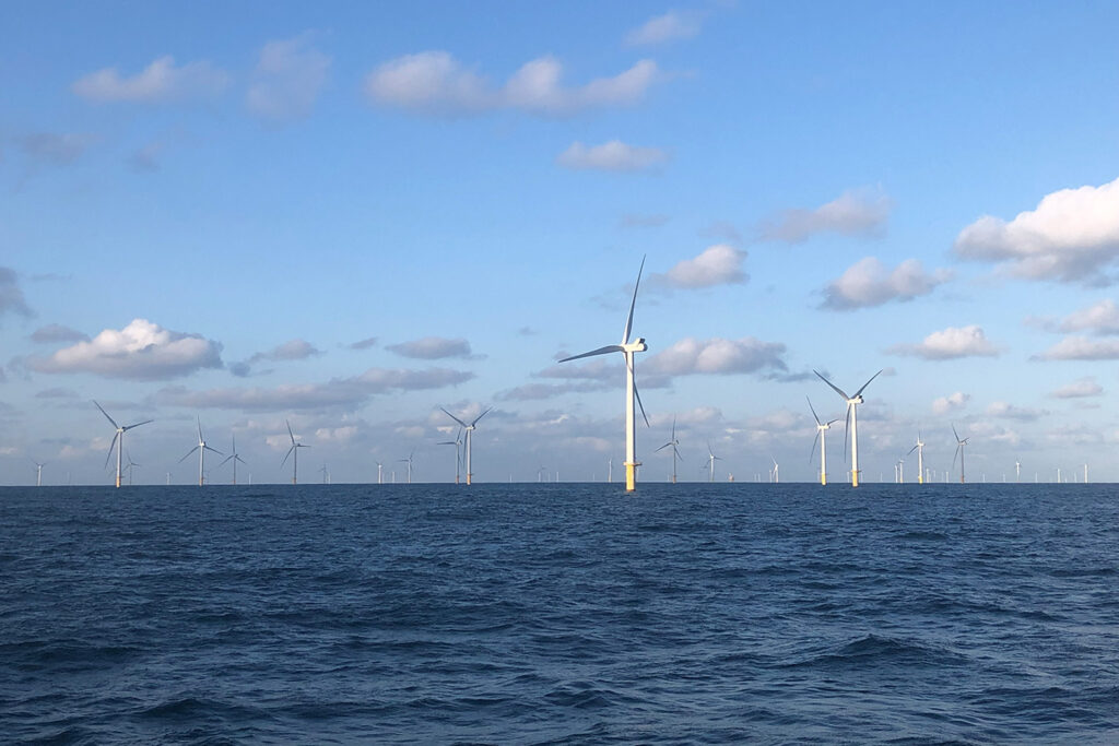 Unsichtbare Gefahr unter Wasser. Farbpartikel aus Windparks sickern in die Meeresböden ein. © ILVO/RBINS