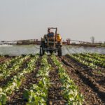 Landwirte spritzen Pestizide gegen Schädlinge, doch die Chemikalien verbreiten sich unkontrolliert in der Umwelt. © Pexels