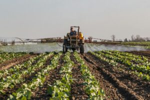 Landwirte spritzen Pestizide gegen Schädlinge, doch die Chemikalien verbreiten sich unkontrolliert in der Umwelt. © Pexels