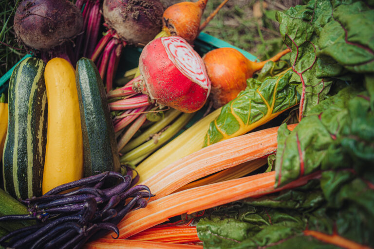Dieses Obst und Gemüse gehört im Frühling auf die Einkaufsliste