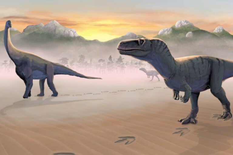 Vorfahre des T-Rex stampfte einst durch Schottland