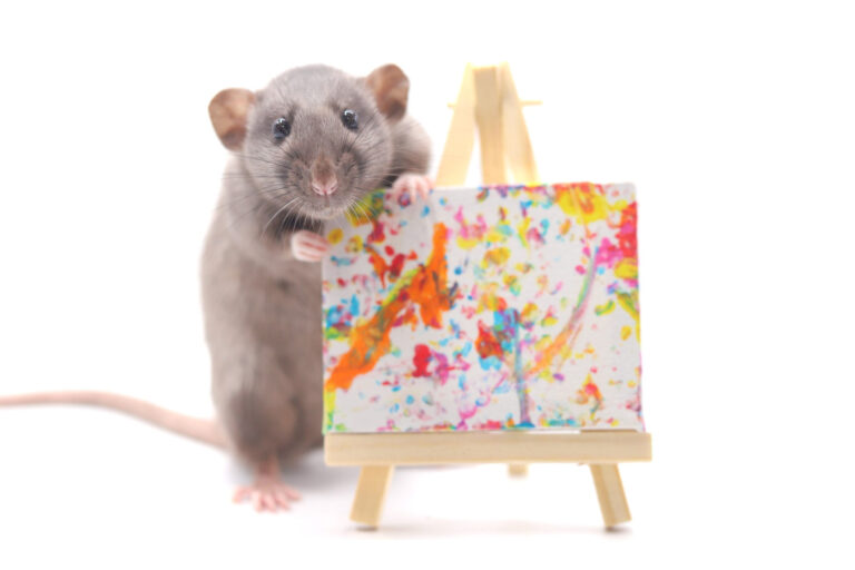 Ratten malen süße Mini-Kunstwerke