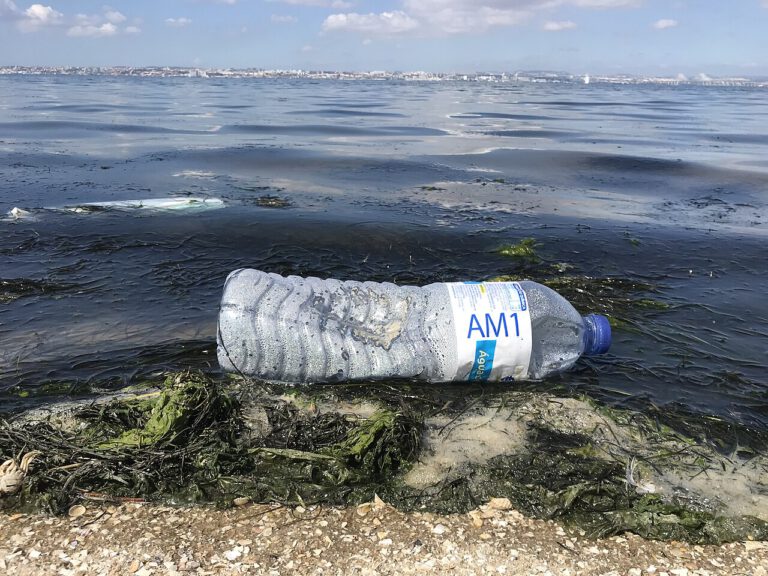 Was aussieht wie für die Ewigkeit gemacht, bleibt oft auch so: Doch mit tPB rückt eine Plastik-Alternative näher, die sich selbst im Meer zersetzt.