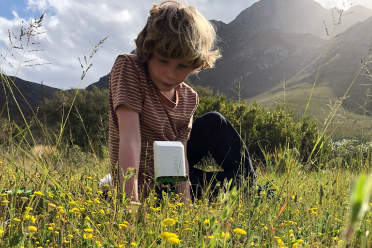 Wie Tech-Pioniere Insekten retten wollen