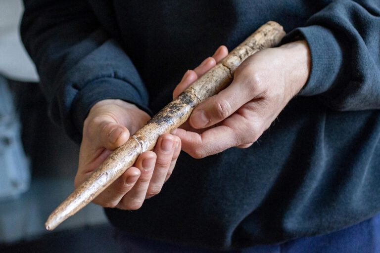 Forscher finden Werkzeuge aus Walknochen im Rheinland